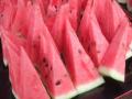 【開催決定】日本一のすいか産地・熊本から春の便り