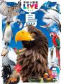 身の回りの宝物を見つけよう！『学研の図鑑LIVE 鳥 新