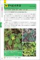 20年以上にわたり愛されてきた大人気の植物図鑑が大幅