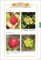 20年以上にわたり愛されてきた大人気の植物図鑑が大幅