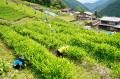 【岐阜県飛騨市】岐阜県初の「内閣総理大臣賞」で頂点