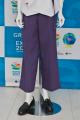 GREEN×EXPO 2027(２０２７年国際園芸博覧会)　産学連