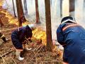 【大槌町 山火事復興支援】大槌町観光交流協会が売上