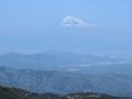 シャクナゲに染まる「トレッキングセミナー天城山」開
