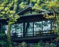 【開業20周年、感謝を込めて】料理旅館・明治の森箕面