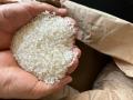 あなたの推し米はどちら？　新潟県・妙高産「コシヒカ
