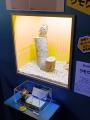 【沖縄】寄生虫をテーマにしたイベント「寄生虫 パラ