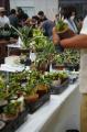 開催迫る｜前回約5,000人を動員した植物イベント「Col
