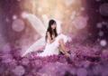 国際写真大会「World Photographic Cup（WPC）2026」
