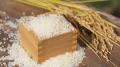 丹波篠山 かまい農場、VTuber猫宮ひなたと共同プロジ