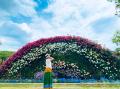 花のステージは、藤の花からローズガーデンへ『５００