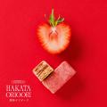 博多織に着想を得たパイ菓子専門ブランド 【HAKATA OR