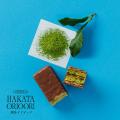 博多織に着想を得たパイ菓子専門ブランド 【HAKATA OR