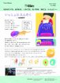 松田奈那子最新刊！離れていても『いっしょ』だから、