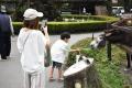 物価高騰に立ち向かう家族応援プラン 期間限定販売の