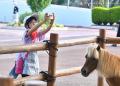今年も開催！！＼子どものワクワクと成長が生まれる宿
