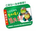 今年最後のチャンス！キウイブラザーズのぬいぐるみが