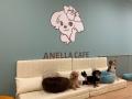 【保護犬猫×就労継続支援】勢いが止まらない「ANELLA 