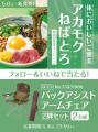 「やよい軒」公式X・Instagramそれぞれで実施『アカモ