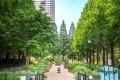 初夏の花と香りの共演が楽しめる／6月に見ごろを迎え