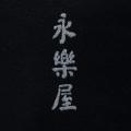 【ニューエラ】メディアアーティスト落合陽一氏、京都