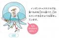 【京都水族館】国立科学博物館巡回展が京都水族utf-8