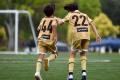 「連続全国出場！YFT U12、さのなおし杯三重県予選で