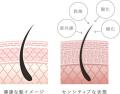 ヘアケアブランド『COREME（コアミー）』加齢による“
