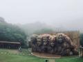 【雨に染まる忍の世界へ】「忍里 雨の日ステッカー」