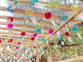 川面に咲く花火、5,000個の風鈴、クラシックカー142台