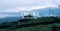 高級ボトリングティーブランド「IBUKI bottled tea」