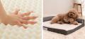 シニア犬の“くつろぎの場所”をもっと広く。低床L字型