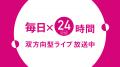ショップチャンネル 「心おどる、夏いち大感謝祭」を5