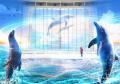 アクアワールド茨城県大洗水族館 イルカ・アシカオー
