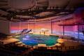 アクアワールド茨城県大洗水族館 イルカ・アシカオー