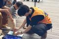 【横浜】人生100年時代の足を支える「第9回 足フェス