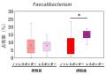 ヒトのビフィズス菌BB536が高たんぱく食を摂取する男