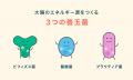 【大阪大学発ベンチャー】最短48時間で腸内環境を可視