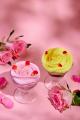 群馬県内最多5,700株の春バラに包まれる「ROSE WEEK」
