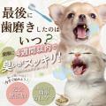 歯磨きは嫌いです──