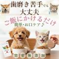 歯磨きは嫌いです──