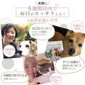 歯磨きは嫌いです──