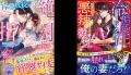 大人女性向け恋愛小説「ベリーズ文庫」「ベリーズ文庫