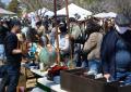 【JOURNAL STANDARD FURNITURE】和光樹林公園で人気を