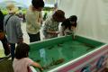 「ひたちなか・大洗・東海PRの日」「ひたちなかフラフ