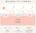 テカリを抑え、輝きまとうシルクグロウ肌ミシャ グロ