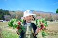 「カゴメ野菜生活ファーム富士見」で『“アリス”とめぐ