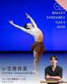 [ダンサー紹介第1弾！]【バレエアンサンブルガラ2026