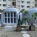 熊本地震から10年、「TKB48避難所訓練」を熊本市と実
