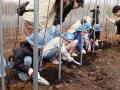 日鉄興和不動産農業株式会社による第1弾事業開始 北海